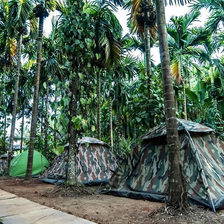 Dandeli Goldfinch Resort Zewnętrze zdjęcie