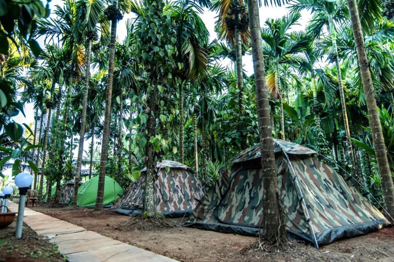 Dandeli Goldfinch Resort Zewnętrze zdjęcie